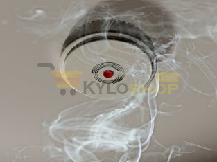 Intruder Alarm System