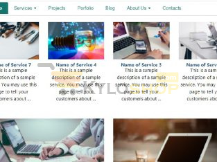 Company Website with Web Hosting and Domain Name