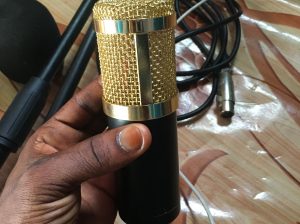 BM 800 CONDENSER MICROPHONES