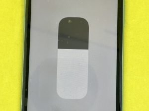 IPhone 11 64GB factory unlocked ID 631