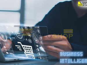 Efficiency with Professional BI Solutions Provider