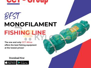 Best Monofilament Fishing Line