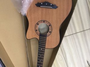 Acoustic guitar