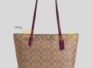lussocitta_coach_4455_imrsf_1_800x-300x224 Buy & Sell Classified site - Auction - Online shopping site