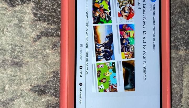 Nintendo switch Lite