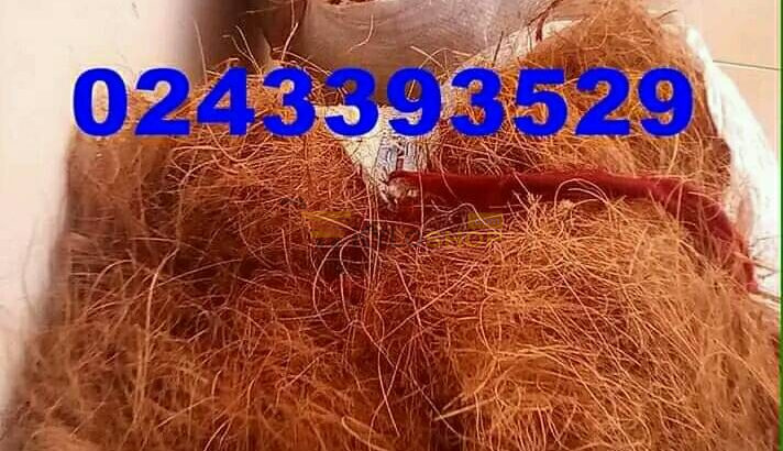 Coconut Fiber for Sale